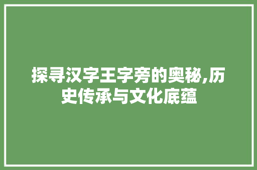 探寻汉字王字旁的奥秘,历史传承与文化底蕴