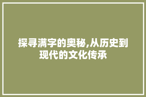 探寻满字的奥秘,从历史到现代的文化传承