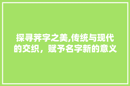 探寻荠字之美,传统与现代的交织,赋予名字新的意义
