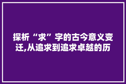 探析“求”字的古今意义变迁,从追求到追求卓越的历程