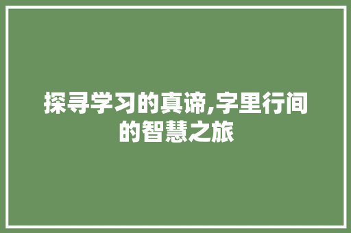 探寻学习的真谛,字里行间的智慧之旅