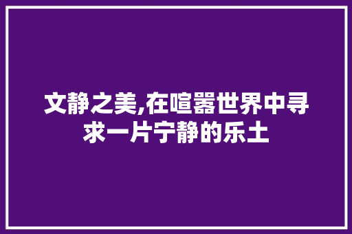 文静之美,在喧嚣世界中寻求一片宁静的乐土