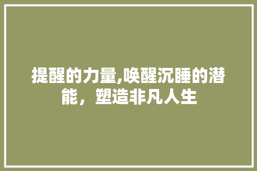 提醒的力量,唤醒沉睡的潜能，塑造非凡人生  第1张