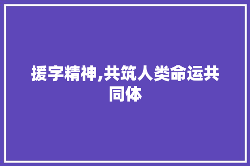援字精神,共筑人类命运共同体  第1张
