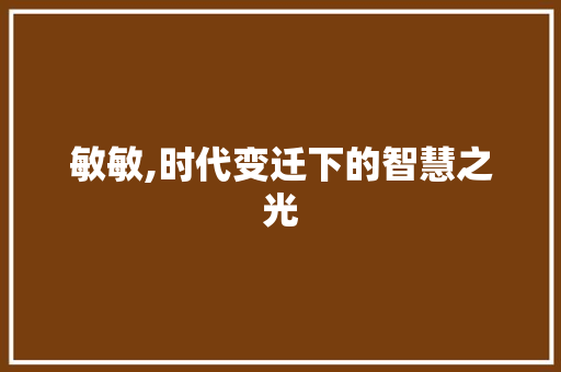 敏敏,时代变迁下的智慧之光