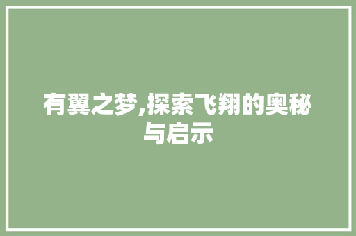 有翼之梦,探索飞翔的奥秘与启示