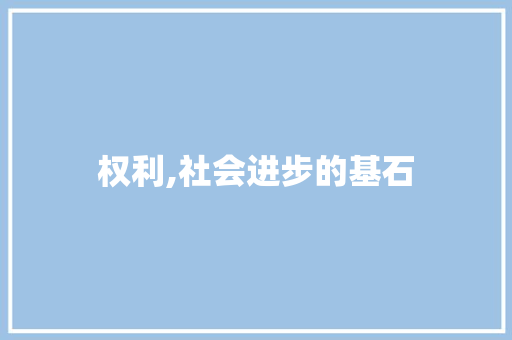 权利,社会进步的基石
