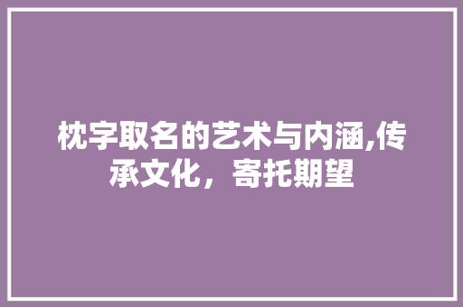 枕字取名的艺术与内涵,传承文化,寄托期望