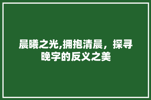 晨曦之光,拥抱清晨，探寻晚字的反义之美