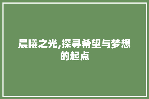 晨曦之光,探寻希望与梦想的起点