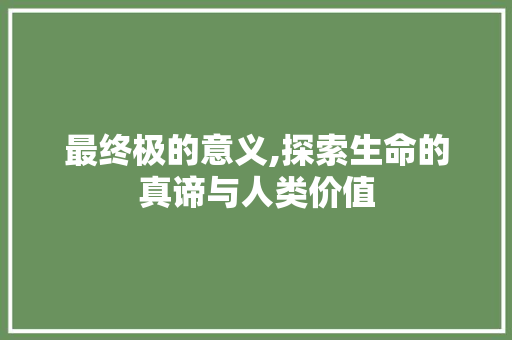 最终极的意义,探索生命的真谛与人类价值