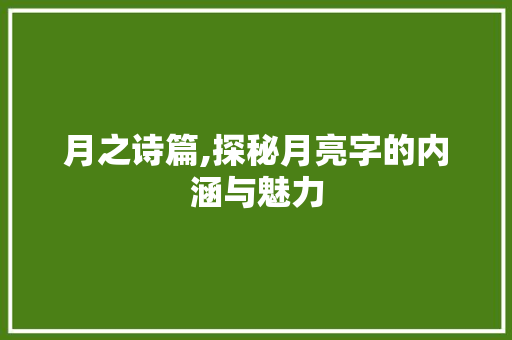 月之诗篇,探秘月亮字的内涵与魅力