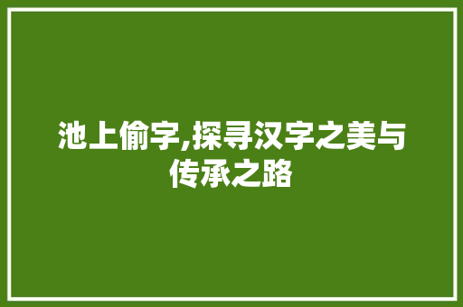 池上偷字,探寻汉字之美与传承之路