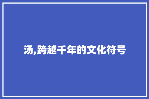 汤,跨越千年的文化符号