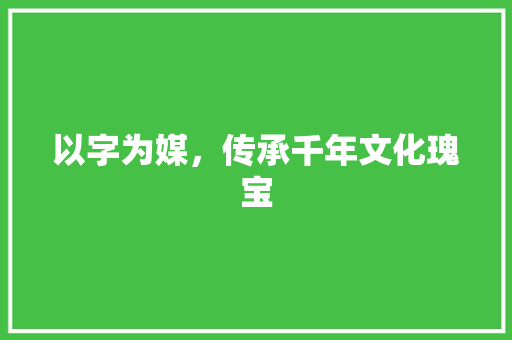 以字为媒，传承千年文化瑰宝
