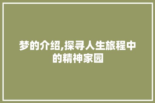 梦的介绍,探寻人生旅程中的精神家园