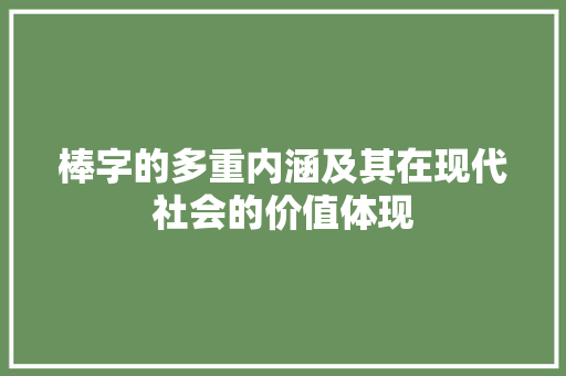 棒字的多重内涵及其在现代社会的价值体现