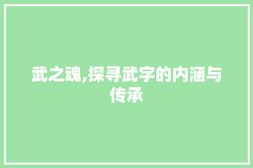 武之魂,探寻武字的内涵与传承