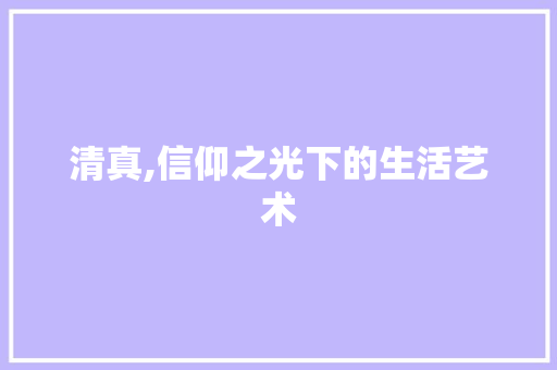 清真,信仰之光下的生活艺术