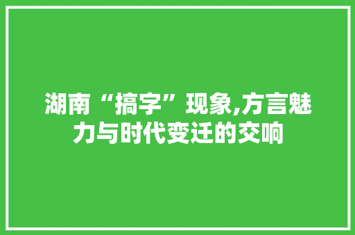 湖南“搞字”现象,方言魅力与时代变迁的交响