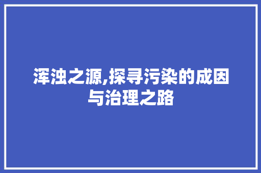 浑浊之源,探寻污染的成因与治理之路