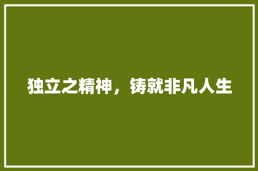 独立之精神，铸就非凡人生