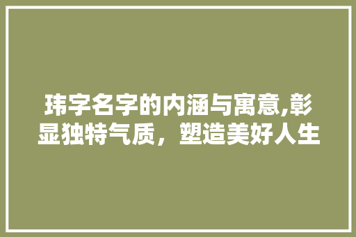 玮字名字的内涵与寓意,彰显独特气质，塑造美好人生