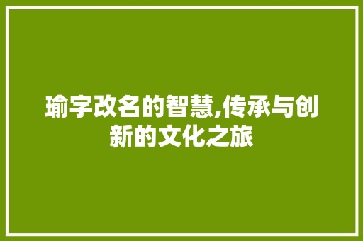 瑜字改名的智慧,传承与创新的文化之旅