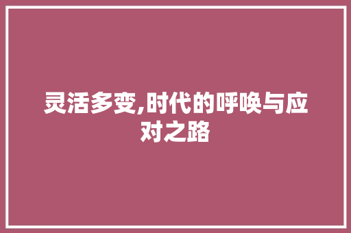 灵活多变,时代的呼唤与应对之路