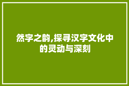 然字之韵,探寻汉字文化中的灵动与深刻