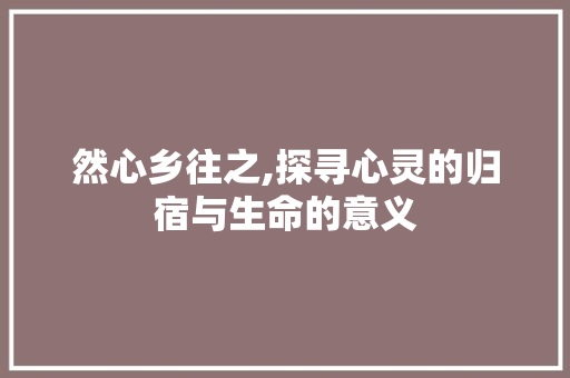 然心乡往之,探寻心灵的归宿与生命的意义