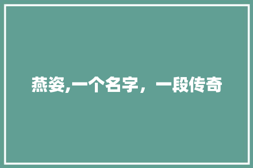 燕姿,一个名字，一段传奇