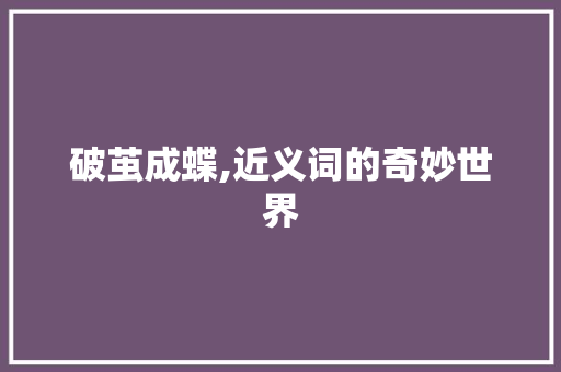 破茧成蝶,近义词的奇妙世界