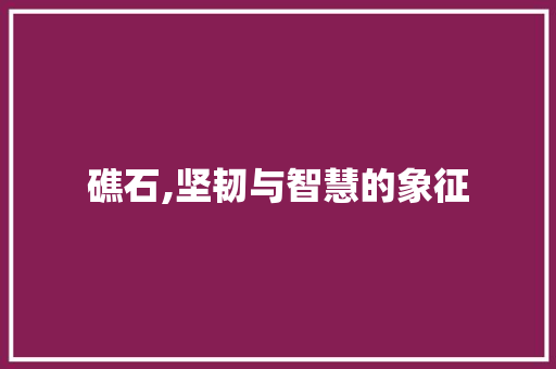 礁石,坚韧与智慧的象征  第1张