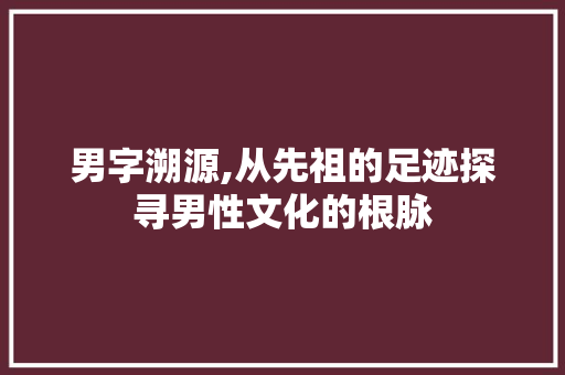 男字溯源,从先祖的足迹探寻男性文化的根脉