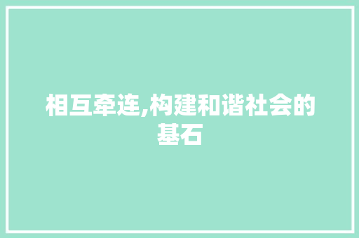 相互牵连,构建和谐社会的基石
