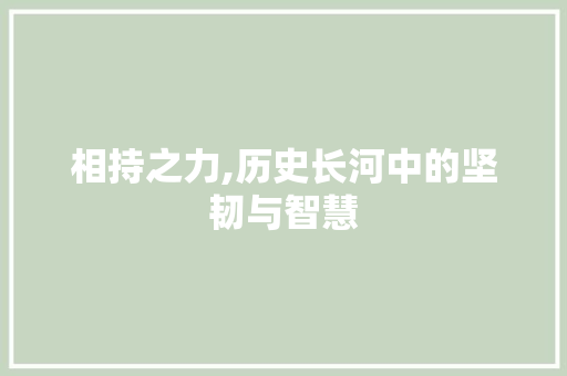 相持之力,历史长河中的坚韧与智慧
