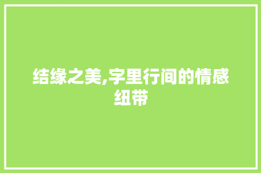 结缘之美,字里行间的情感纽带