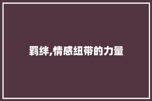羁绊,情感纽带的力量