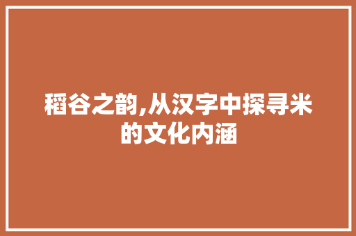 稻谷之韵,从汉字中探寻米的文化内涵