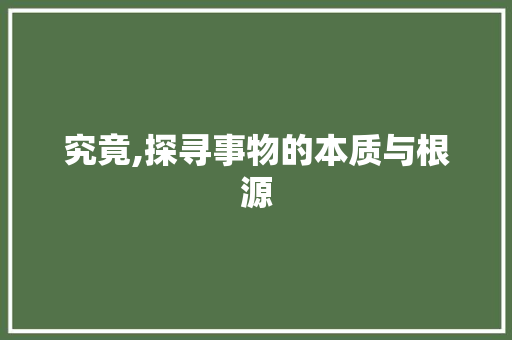 究竟,探寻事物的本质与根源
