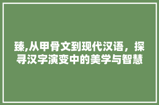 臻,从甲骨文到现代汉语，探寻汉字演变中的美学与智慧