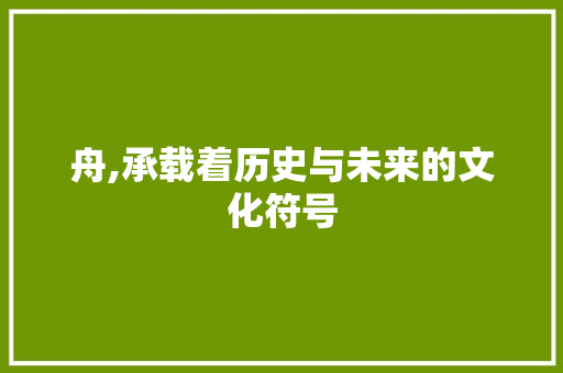 舟,承载着历史与未来的文化符号