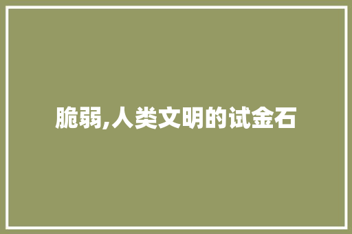 脆弱,人类文明的试金石