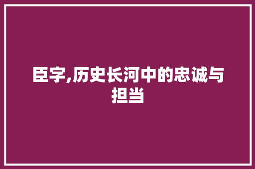 臣字,历史长河中的忠诚与担当