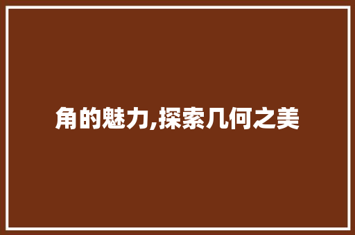 角的魅力,探索几何之美