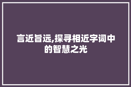 言近旨远,探寻相近字词中的智慧之光