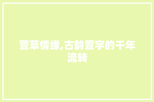 萱草情缘,古韵萱字的千年流转