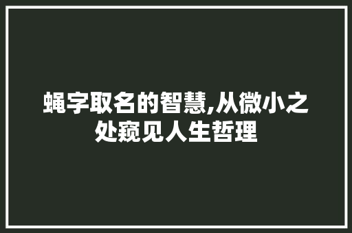 蝇字取名的智慧,从微小之处窥见人生哲理