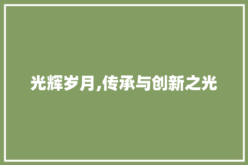 光辉岁月,传承与创新之光